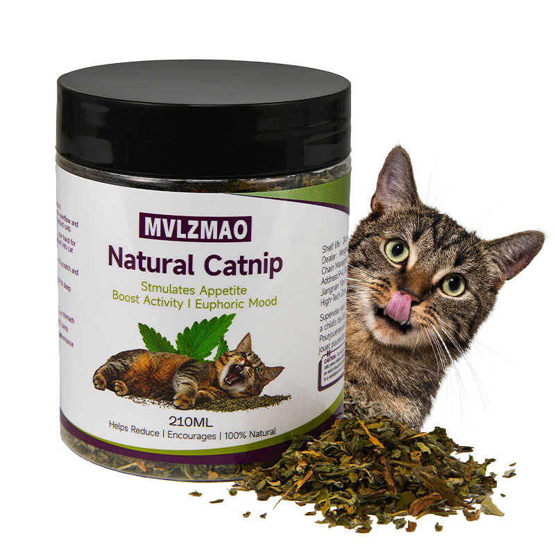 Mainan kucing-silvervine Catni - Herbal Wellness Products ulasan dan harga