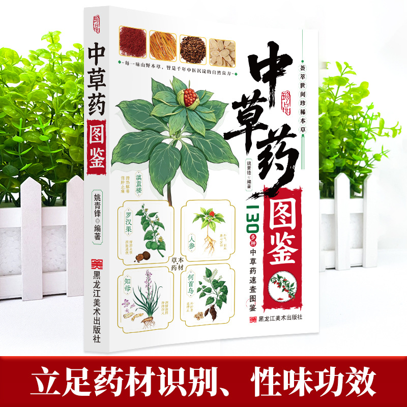 Panduan Bergambar Obat Herbal  - Herbal Holistic Wellness ulasan dan harga