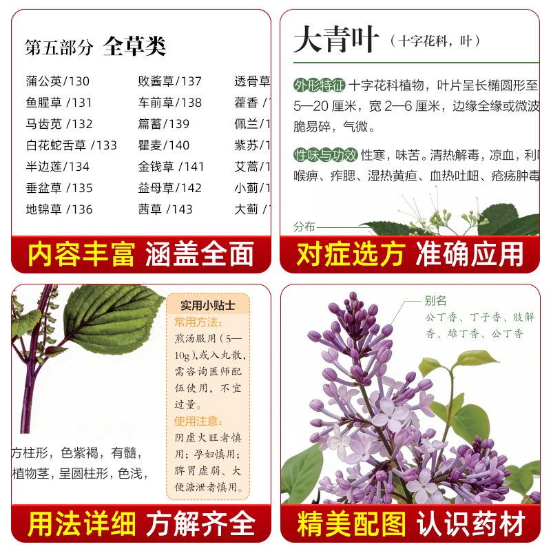 Panduan Bergambar Obat Herbal  - Herbal Holistic Wellness ulasan dan harga